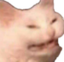 :cate: