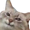 :smugcat1: